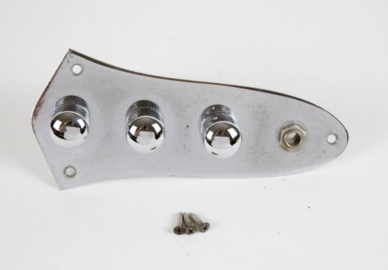 1981 Vintage Fender Jazz Bass CONTROL PLATE ~ALL Original~ 1970s-1980s USA