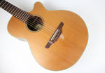 2005 Vintage Takamine EAN60C Cedar/Mahogany Rosewood Japan 2000s