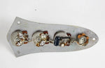 1981 Vintage Fender Jazz Bass CONTROL PLATE ~ALL Original~ 1970s-1980s USA