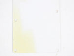 Fender Stratocaster White Tremolo Back Cover ~RELIC~ Strat USA