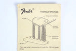 1980s Vintage Fender Stratocaster Tremolo Springs Packet Intruction Envelope USA Strat