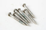 1960s-1970s Vintage Fender Stratocaster CBS-Era Strat Tremolo Bridge Screws Set of 5 USA