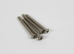 Generic Fender Strat/Tele 4-Bolt Neck Plate RELIC Fits USA & MIM 51mm x 63.7mm w/Screws