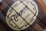 2005 Vintage Takamine EAN60C Cedar/Mahogany Rosewood Japan 2000s