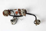 1966 Vintage Gibson EB-0/EB-2/EB-3 Bass Pots Wiring Harness w/Input Jack USA 1960s