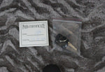 Fender Deluxe Molded Jazzmaster/Jaguar Guitar Case Black ~Gray Plush Interior~ MINT