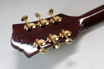2010 Guild D-55 Dreadnought USA w/Original Hard Shell Case NR129004